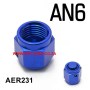 AER231